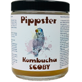 Kombucha | Pippster's SCOBY